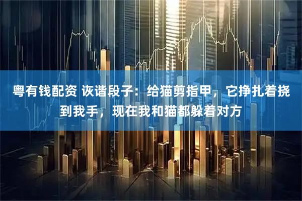粤有钱配资 诙谐段子：给猫剪指甲，它挣扎着挠到我手，现在我和猫都躲着对方
