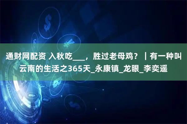 通财网配资 入秋吃___，胜过老母鸡？｜有一种叫云南的生活之365天_永康镇_龙眼_李奕遥